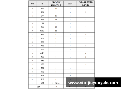 2017年国安球员名单及其表现分析